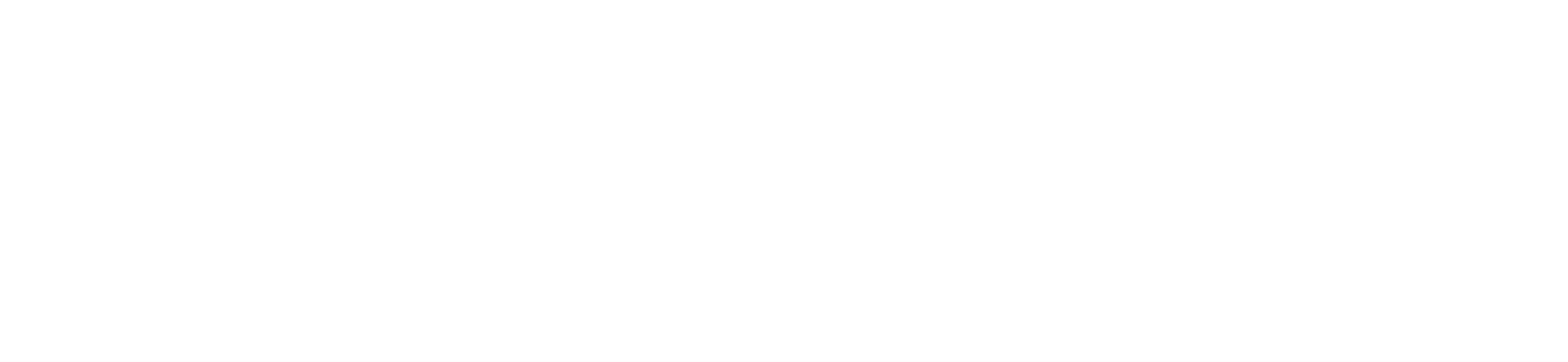 Logo Savaco - Secure - Support - Protect - Transport